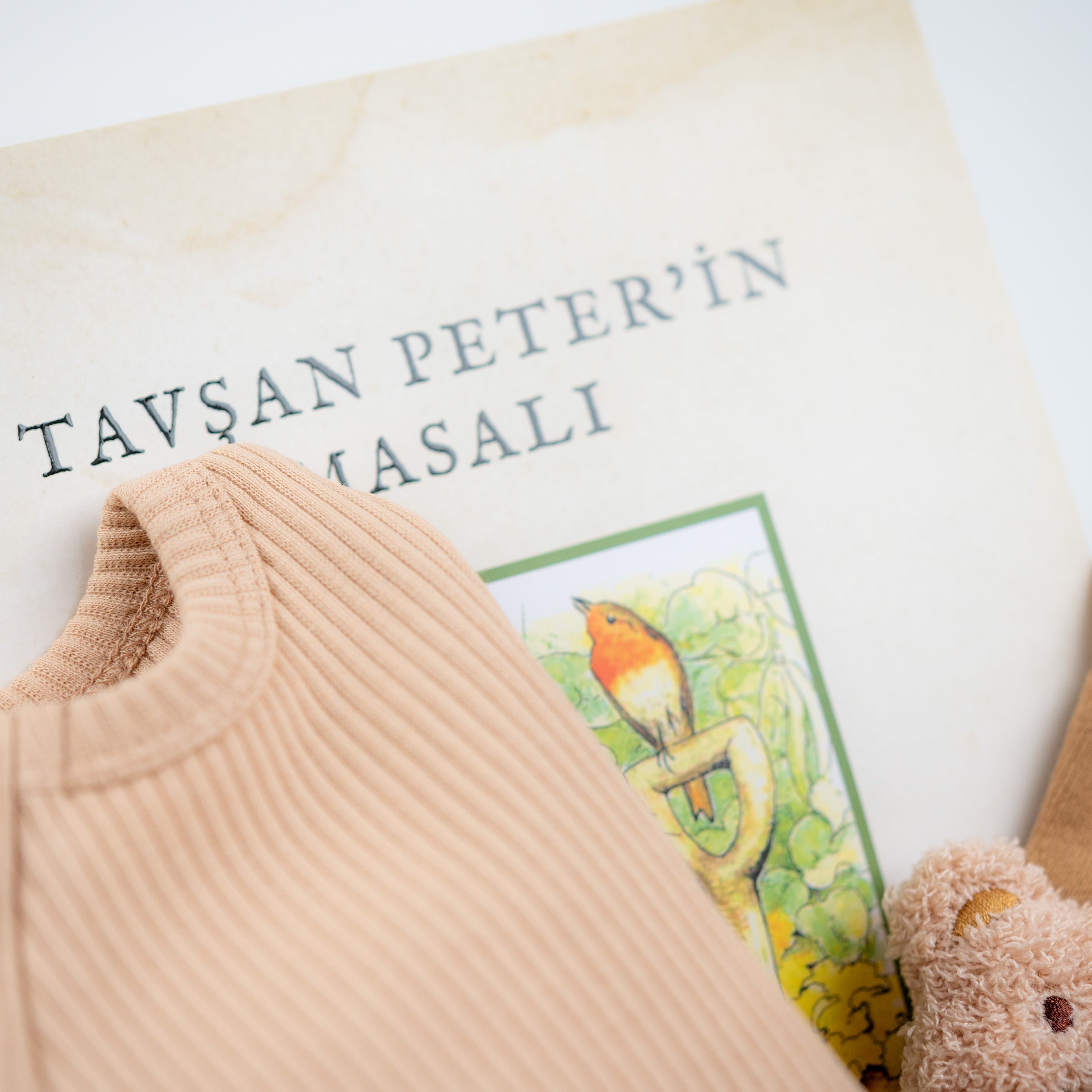 Minik Ayıcığın Hoş Geldin Mesajı